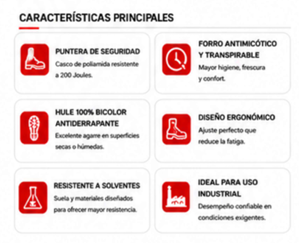Bota Zeus — Características