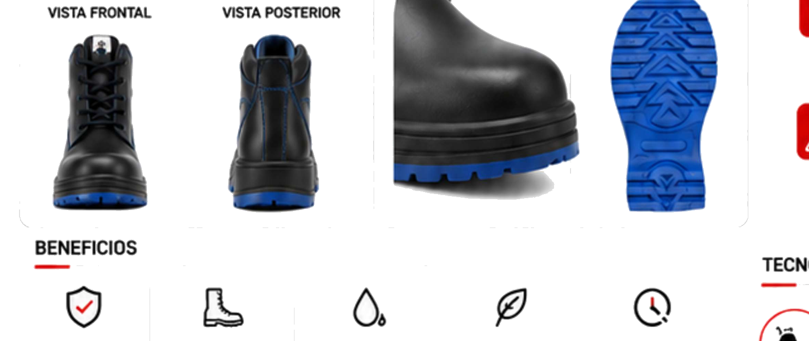 Bota Zeus — Detalles