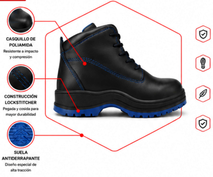 Bota Zeus